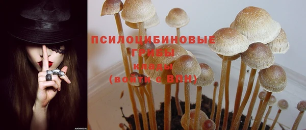 трава Володарск