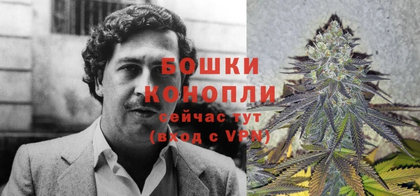 бошки Вязьма