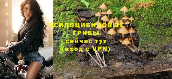 гашиш Вяземский