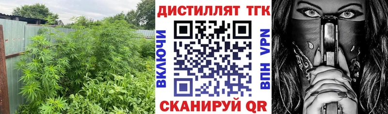 ТГК THC oil  Щёлково 