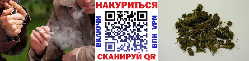 дарнет шоп Щёлково Бошки Шишки конопля